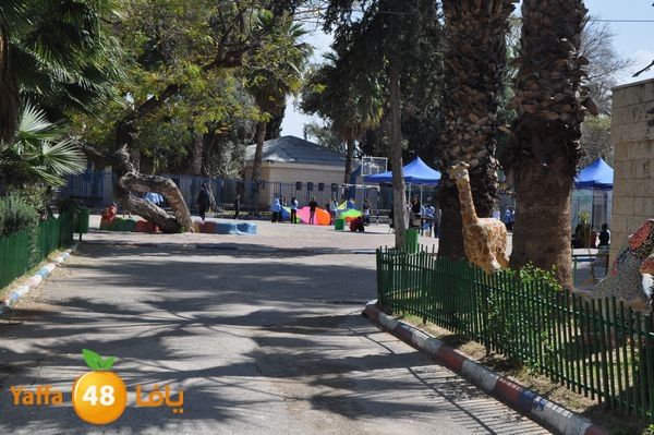 rashidiyans311 (64).JPG